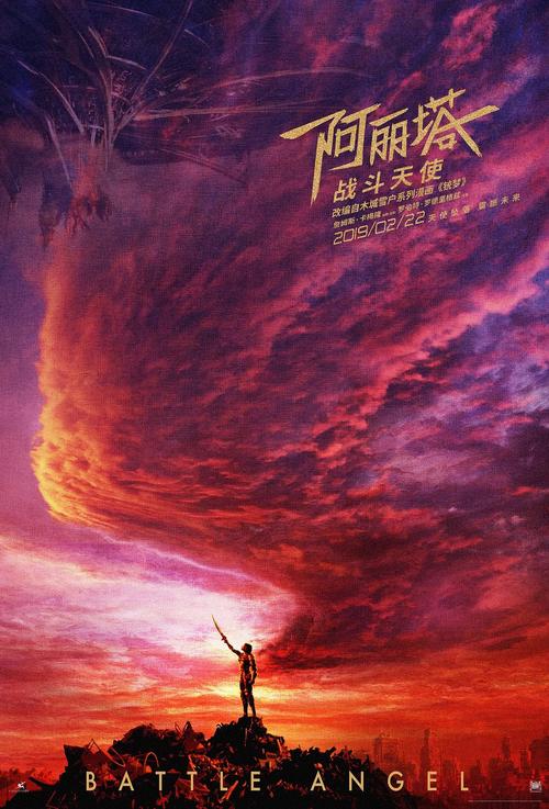学历证书编号数字代表什么